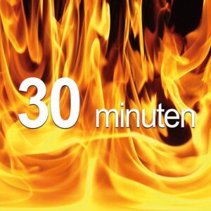 brandwerende-boarddeur-stomp-30-min