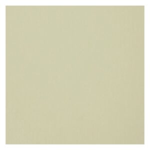 verduisterend-rolgordijn-052-beige-fakro-arf