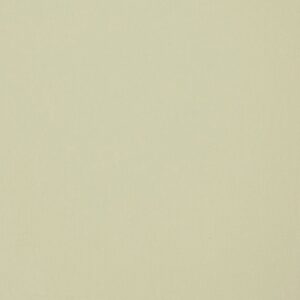 solar-verduisterend-rolgordijn-platdakraam-052-beige-fakro-arf-d